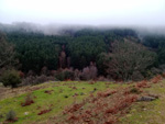 Puerto del Cardoso,Montejo de la sierra, Sierra del Rincón, Madrid