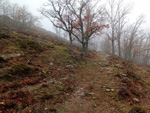 Puerto del Cardoso,Montejo de la sierra, Sierra del Rincón, Madrid