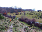 Puerto del Cardoso,Montejo de la sierra, Sierra del Rincón, Madrid