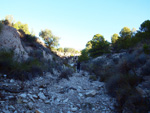 Grupo Mineralógico de Alicante.  Afloramiento de marcasitas, Rambla en finca La Canyaeta Blanca, Agost, Alicante 