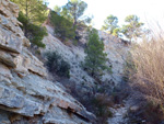   Afloramiento de marcasitas, Rambla en finca La Canyaeta Blanca, Agost, Alicante