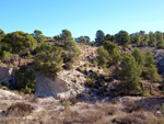   Afloramiento de marcasitas, Rambla en finca La Canyaeta Blanca, Agost, Alicante