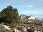   Calcita. Cantera de Áridos de Sodira. Busot. Alicante