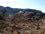 Afloramiento de marcasitas, Rambla en finca La Canyaeta Blanca, Agost, Alicante