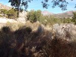 Afloramiento de marcasitas, Rambla en finca La Canyaeta Blanca, Agost, Alicante