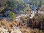 Afloramiento de marcasitas, Rambla en finca La Canyaeta Blanca, Agost, Alicante