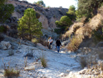   Afloramiento de marcasitas, Rambla en finca La Canyaeta Blanca, Agost, Alicante