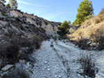    Afloramiento de marcasitas, Rambla en finca La Canyaeta Blanca, Agost, Alicante
