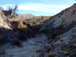    Afloramiento de marcasitas, Rambla en finca La Canyaeta Blanca, Agost, Alicante