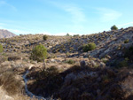    Afloramiento de marcasitas, Rambla en finca La Canyaeta Blanca, Agost, Alicante