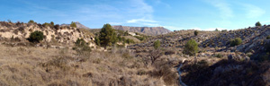 Afloramiento de marcasitas, Rambla en finca La Canyaeta Blanca, Agost, Alicante