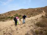 Minas de Ocre.El Sabinar. San Vicente/Mutxamel. Alicante