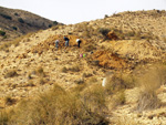 Minas de Ocre.El Sabinar. San Vicente/Mutxamel. Alicante