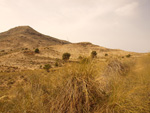     Minas de Ocre.El Sabinar. San Vicente/Mutxamel. Alicante