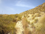    Minas de Ocre.El Sabinar. San Vicente/Mutxamel. Alicante