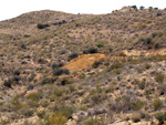 Minas de Ocre.El Sabinar. San Vicente/Mutxamel. Alicante