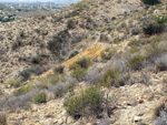 Minas de Ocre.El Sabinar. San Vicente/Mutxamel. Alicante