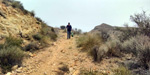    Minas de Ocre.El Sabinar. San Vicente/Mutxamel. Alicante