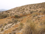 Grupo Mineralógico de Alicante.  Minas de Ocre.El Sabinar. San Vicente/Mutxamel. Alicante 