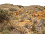 Grupo Mineralógico de Alicante.  Minas de Ocre.El Sabinar. San Vicente/Mutxamel. Alicante 