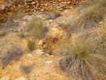 Minas de Ocre.El Sabinar. San Vicente/Mutxamel. Alicante