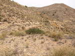 Minas de Ocre.El Sabinar. San Vicente/Mutxamel. Alicante