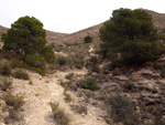   Minas de Ocre.El Sabinar. San Vicente/Mutxamel. Alicante