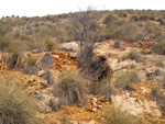   Minas de Ocre.El Sabinar. San Vicente/Mutxamel. Alicante