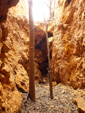    Minas de Ocre.El Sabinar. San Vicente/Mutxamel. Alicante