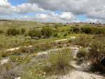 Cerro de la Tarta. Rivas Vaciamadrid. Madrid