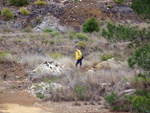 Zona los Pajaritos. Llano del Beal - La Unión - Sierra minera de Cartagena y la Unión - Murcia