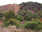 Zona los Pajaritos. Llano del Beal - La Unión - Sierra minera de Cartagena y la Unión - Murcia