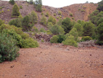 Zona los Pajaritos. Llano del Beal - La Unión - Sierra minera de Cartagena y la Unión - Murcia