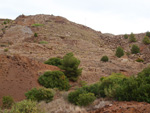  .Zona los Pajaritos. Llano del Beal - La Unión - Sierra minera de Cartagena y la Unión - Murcia