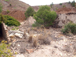 Zona los Pajaritos. Llano del Beal - La Unión - Sierra minera de Cartagena y la Unión - Murcia