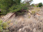 Zona los Pajaritos. Llano del Beal - La Unión - Sierra minera de Cartagena y la Unión - Murcia