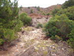 Zona los Pajaritos. Llano del Beal - La Unión - Sierra minera de Cartagena y la Unión - Murcia