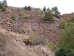  Zona los Pajaritos. Llano del Beal - La Unión - Sierra minera de Cartagena y la Unión - Murcia