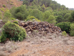  Zona los Pajaritos. Llano del Beal - La Unión - Sierra minera de Cartagena y la Unión - Murcia