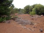  Zona los Pajaritos. Llano del Beal - La Unión - Sierra minera de Cartagena y la Unión - Murcia