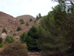  Zona los Pajaritos. Llano del Beal - La Unión - Sierra minera de Cartagena y la Unión - Murcia