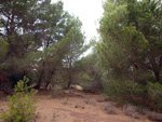  Zona los Pajaritos. Llano del Beal - La Unión - Sierra minera de Cartagena y la Unión - Murcia