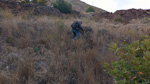 Zona los Pajaritos. Llano del Beal - La Unión - Sierra minera de Cartagena y la Unión - Murcia