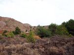 Zona los Pajaritos. Llano del Beal - La Unión - Sierra minera de Cartagena y la Unión - Murcia