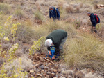   Zona los Pajaritos. Llano del Beal - La Unión - Sierra minera de Cartagena y la Unión - Murcia