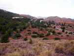   Zona los Pajaritos. Llano del Beal - La Unión - Sierra minera de Cartagena y la Unión - Murcia