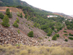   Zona los Pajaritos. Llano del Beal - La Unión - Sierra minera de Cartagena y la Unión - Murcia