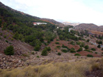   Zona los Pajaritos. Llano del Beal - La Unión - Sierra minera de Cartagena y la Unión - Murcia