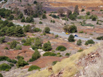    Zona los Pajaritos. Llano del Beal - La Unión - Sierra minera de Cartagena y la Unión - Murcia