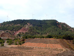    Zona los Pajaritos. Llano del Beal - La Unión - Sierra minera de Cartagena y la Unión - Murcia